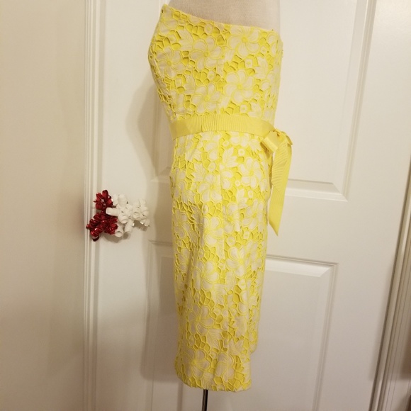 Lilly Pulitzer lace embroidery dress strapless - Picture 5 of 8